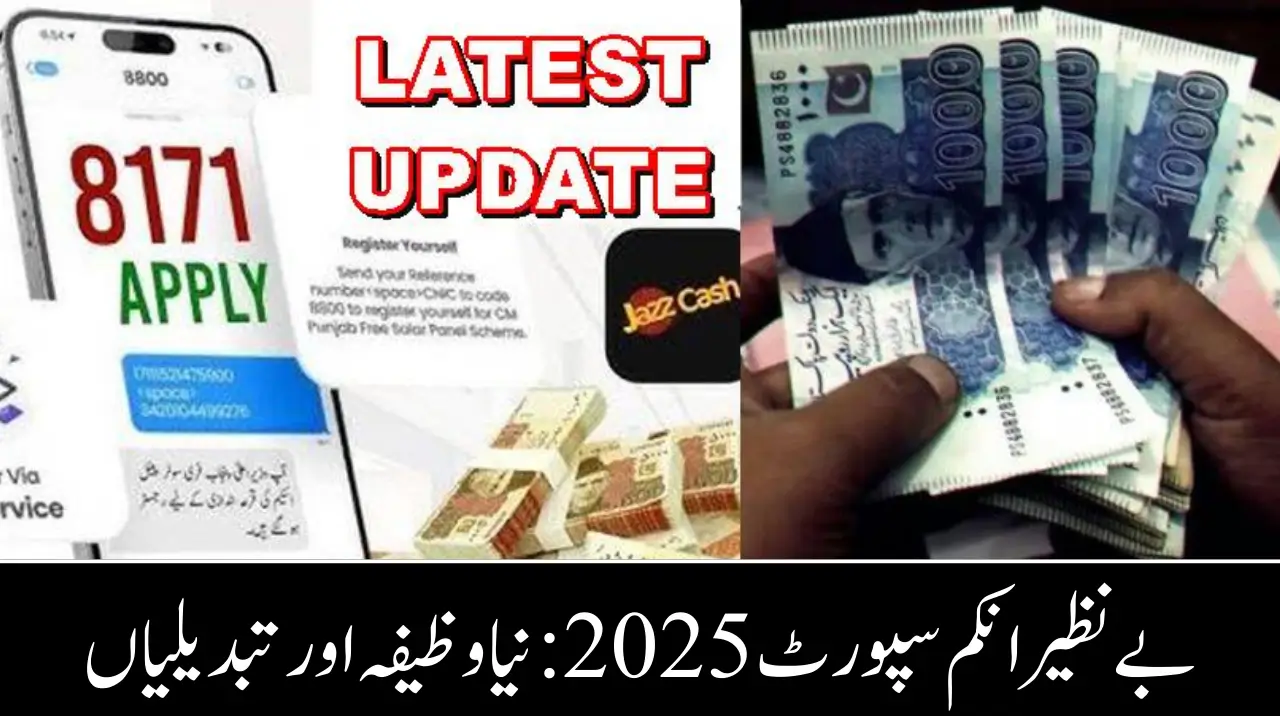 BISP Portal Changes & Stipend Update 2025